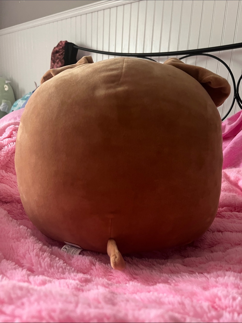 Squishmallows Brenden - 12 inch Plush Brown & White Dog Pillow - Picture 3 of 6